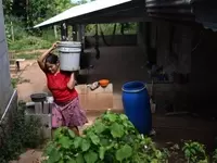El Niño's Deadly Impact: Over 450,000 Lives at Risk from Extreme Heat