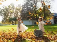 Autumnal Delights: Quotes, Jokes, and Puns for the Fall Season