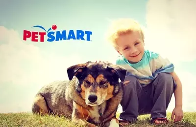 The PetSmart Promise: Diverse Services and Passionate Care for Your Pets