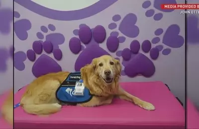 Brayden's Legacy: A Mission to Reunite Hospitalized Children with Their Beloved Pets