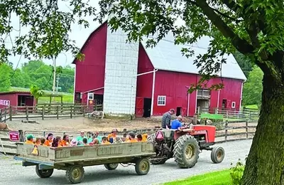 Healing Hearts: A Unique Camp for Grieving Children