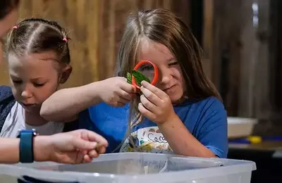 Exploring Nature Through Summer Camp Adventures at Macoskey Center