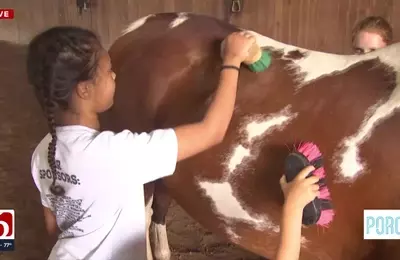 Summer Fun Awaits at the Enchanting Farm Camp