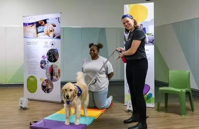 Therapy Dogs Revolutionizing Mental Health Care for Children