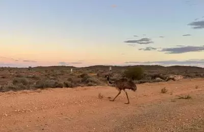 A Family Adventure Through the Australian Outback