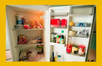 Generational Perspectives: The 'Millennial Flex' of a Garage Fridge Sparks Online Debate