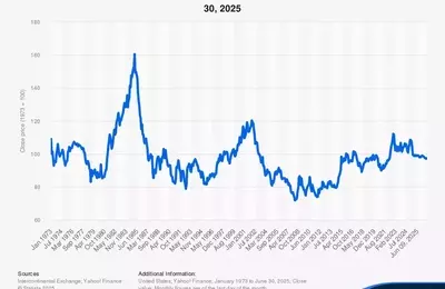 Understanding the Dollar's Fluctuations: Insights for 2025