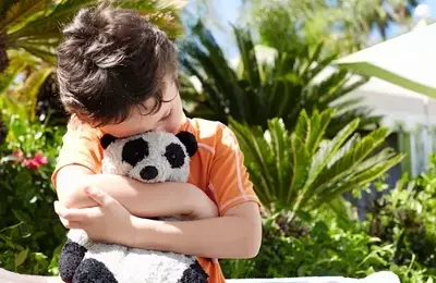 The Lost Stuffy Project: Restoring Comfort Amidst Disaster