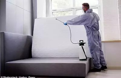 Navigating Bed Bug Infestations in Rental Properties: Tenant and Landlord Responsibilities