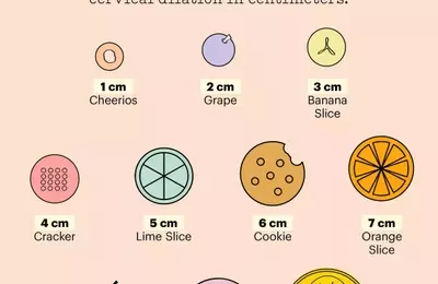 Understanding Cervical Dilation During Childbirth: A Visual Guide