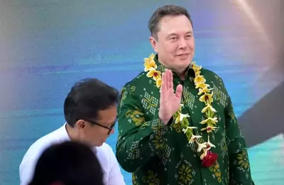 Elon Musk's Strategic Investment Blueprint