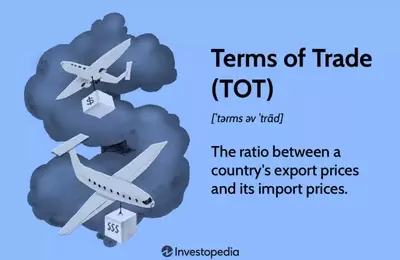 Understanding the Dynamics of a Nation's Terms of Trade