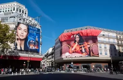 Navigating the Complexities of Estee Lauder's Financial Performance