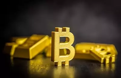 Analyzing the Bitcoin-Gold Dynamic: A Macro-Economic Perspective