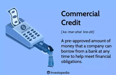 Understanding Commercial Credit and Its Types