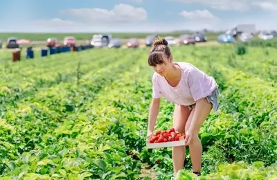 Federal Agricultural Mortgage Corporation: A Compelling Investment in Preferred Shares