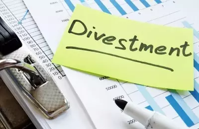 Ingevity's Strategic Divestment and Future Outlook