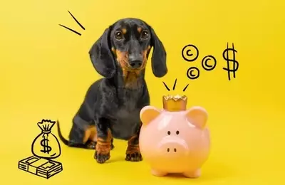 SDOG: A Dividend-Focused ETF with Limited Growth Potential