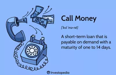 The Dynamics of Call Money in Financial Markets