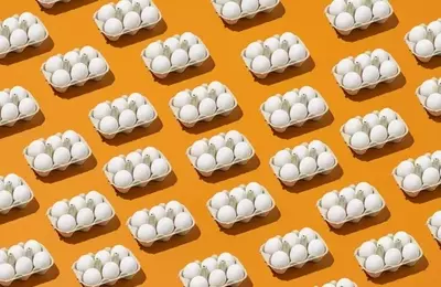 Cal-Maine Foods: A Resilient Egg Industry Leader with Strategic Growth
