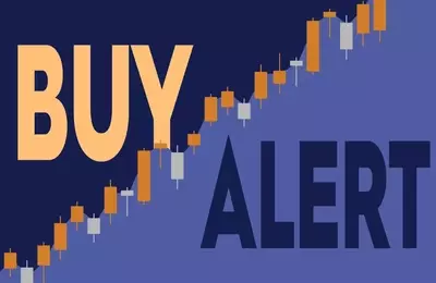 ICF International Director Buys 8,000 Shares Amidst Stock Dip