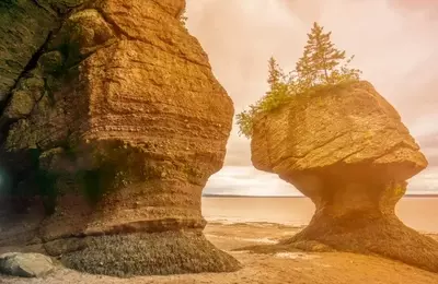 Top Retirement Havens: Canada's Most Affordable Provinces for Retirees