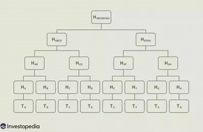 Understanding Merkle Trees in Blockchain Technology