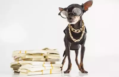 Strategic Cash Allocation: Re-evaluating Investments in Treasury Bonds