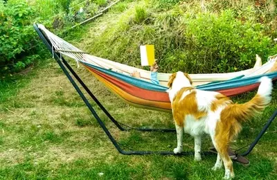 Summer Reading: Dog-Themed Books for All Ages