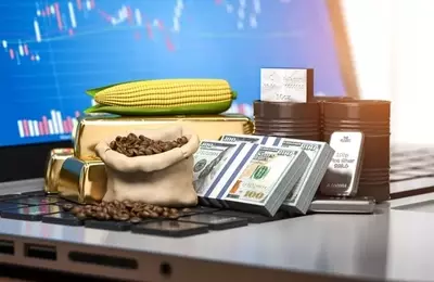 Commodities: The New Frontier in Economic Security and Investment Portfolios
