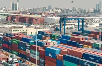 RUI Holdings IPO: A Deep Dive into Its Overvalued Logistics Business