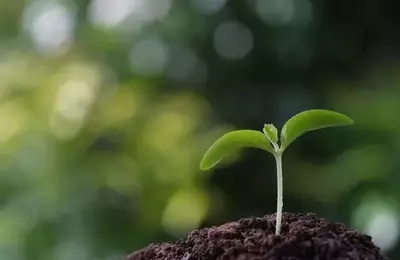 Sprout Social: AI Concerns Overstated, Undervalued Growth Opportunity