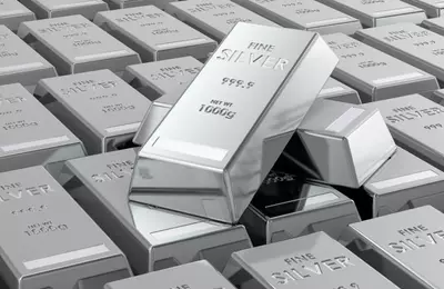 Vizsla Silver: Panuco Project Progress and Investment Outlook