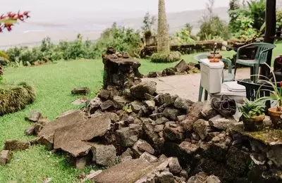 Earthquake Devastates Water Supply for Kona Coffee Farmers