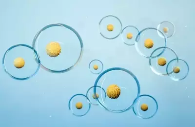 Edgewise Therapeutics: A New Horizon in Cardiovascular Drug Development