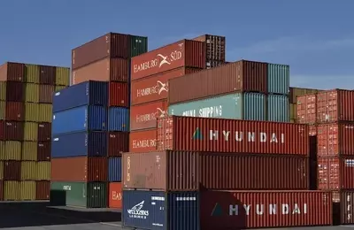 Coupang's Strategic Expansion and Market Potential