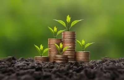 A Detailed Comparison of Leading Dividend Growth ETFs: SCHD vs. VYM
