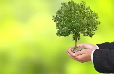 LendingTree's Insurance Sector Fuels Growth Amidst Market Volatility