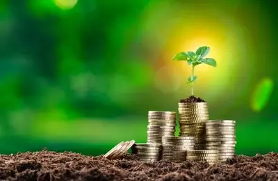 Wasatch Small Cap Growth Fund: Navigating Market Volatility in Q1 2026