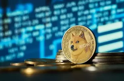 Dogecoin's Value Plummets: The End of the Elon Musk Effect?
