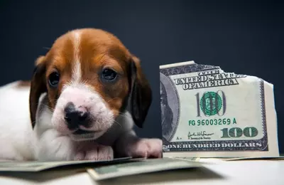 Navigating Inflation: Beyond the Headline Numbers