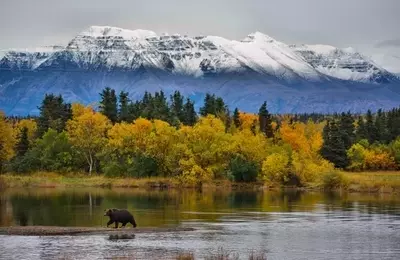 First National Bank Alaska: A Prudent Hold Amidst Emerging Risks