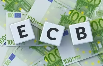 Oil Prices and ECB Monetary Policy: A Critical Nexus