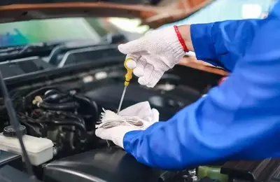 Driven Brands: Navigating Challenges in the Automotive Service Sector