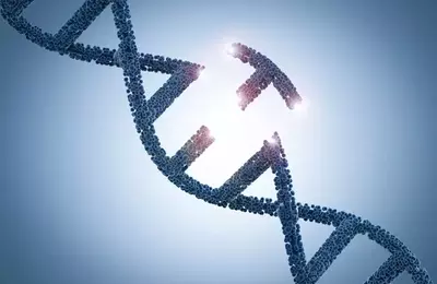 Prime Editing's Potential: A Transformative Approach to Genetic Therapies