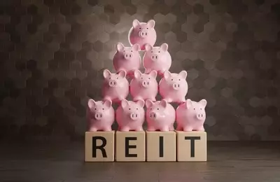 REIT Sector Shows Resilience Amidst Volatility and High Interest Rates
