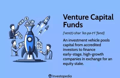 Understanding Venture Capital Funds: Structure, Operations, and Returns