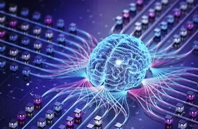 Octave Intelligence: A Hidden Gem in the Software Industry