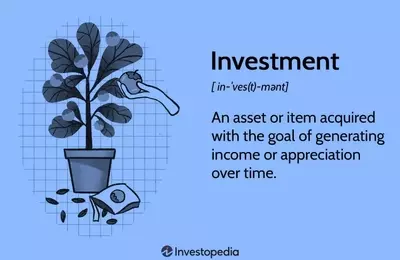 A Comprehensive Guide to Investment Fundamentals