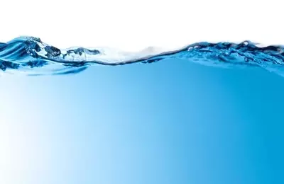 Xylem's Sustained Growth and Dividend Prospects